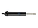 Амортизатор кабины заменяет  Sachs: 313 805_DT_1.25691