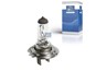 Лампа накаливания 12V 55W PX26d H7_DT_9.78108