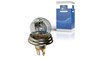 Лампа R2  24V 55/50W_DT_1.21582