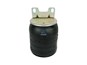 Пневматическая рессора replaces Firestone: W01 358 9373_DT_5.10268