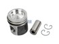 Поршень, в сборе с кольцами replaces Mahle: 213 66 00 / Ø 130_DT_5.40207