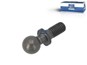 Сферическая цапфа M 8 / Ø 13 mm_DT_9.06208