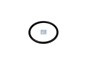 Уплотнительное кольцо 34,0 x 3,0 mm_DT_4.20701