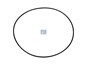 Уплотнительное кольцо круглого сечения 110,0 x 2,0 mm_DT_10.30652