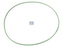 Уплотнительное кольцо круглого сечения 178,0 x 3,0 mm_DT_1.24309