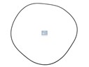 Уплотнительное кольцо круглого сечения 249,5 x 3,0 mm_DT_2.35052