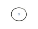 Уплотнительное кольцо круглого сечения 25,1 x 1,6 mm_DT_1.27402