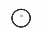 Уплотнительное кольцо круглого сечения 53,0 x 5,0 mm_DT_2.15933