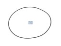 Уплотнительное кольцо круглого сечения, Гильза 129,0 x 2,0 mm_DT_6.21490