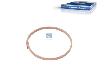 Уплотнительное кольцо replaces ZF: 0750 112 066_DT_4.61012
