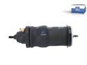 Амортизатор кабины_DT_1.25879