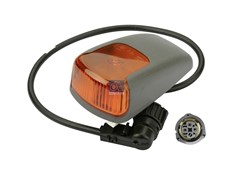 Фонарь указателя поворота_DT_4.63476