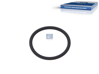 Кольцо уплотнительное подг ильзу_DT_2.76223