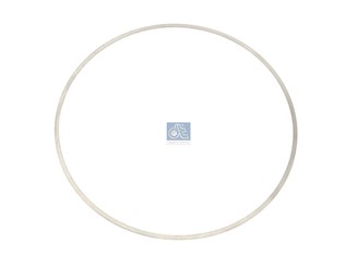Компенсационная шайба 0,30 mm_DT_2.10132