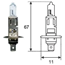 Лампа накаливания H1 12V 55W