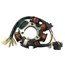 MOTORCYCLE STATOR_GAUSS_GM16016