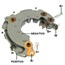 RECTIFIER_GAUSS_GA1316