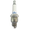 SPARK PLUG_GAUSS_GV6P10