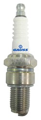 SPARK PLUG_GAUSS_GV8R01