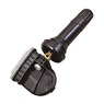 TPMS_GAUSS_GSA1004