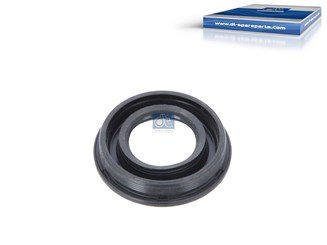 Уплотнение_DT_12.24300