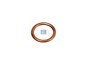 Уплотнительное кольцо 16,0 x 22,0 x 2,0 mm CU_DT_6.24335