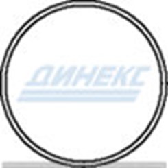 Уплотнительное кольцо_DINEX_21900