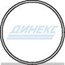 Уплотнительное кольцо_DINEX_21900