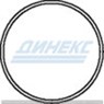Уплотнительное кольцо_DINEX_21900