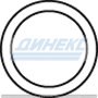 Уплотнительное кольцо_DINEX_69815