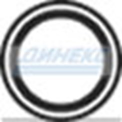 Уплотнительное кольцо_DINEX_80881