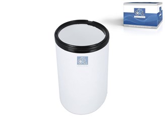 Воздушный фильтр_DT_6.00041