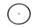 Зубчатый венец Ø 445 mm / 163 teeth_DT_1.10079